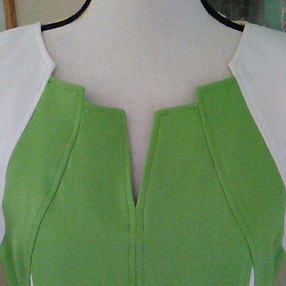 Ellen Tracy Beautifully Seamed Colorblock Dress - Picture 3 of 11